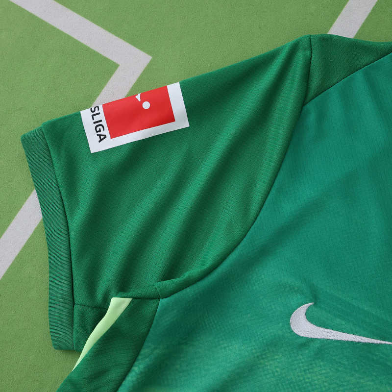 2526 Wolfsburg Home Fan version