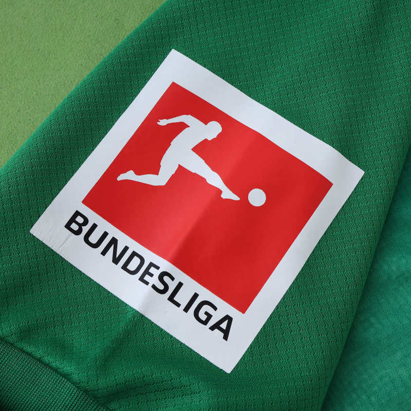 2526 Wolfsburg Home Fan version