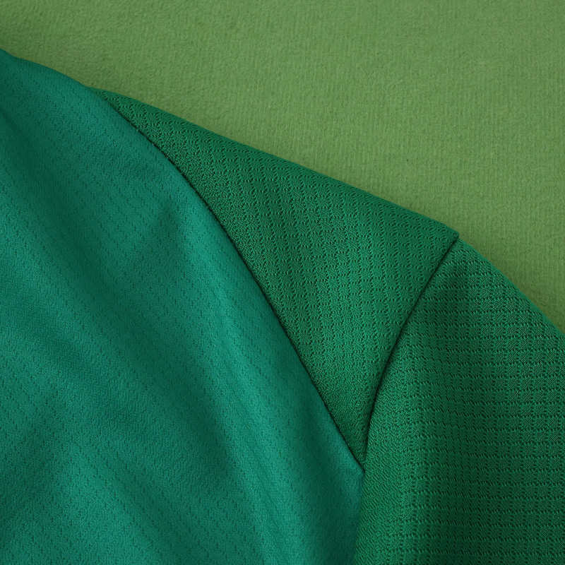 2526 Wolfsburg Home Fan version