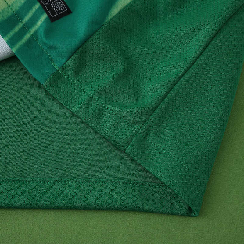 2526 Wolfsburg Home Fan version