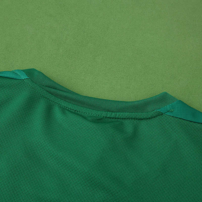 2526 Wolfsburg Home Fan version