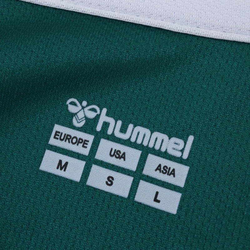 2526 Werder Bremen Home Fan version