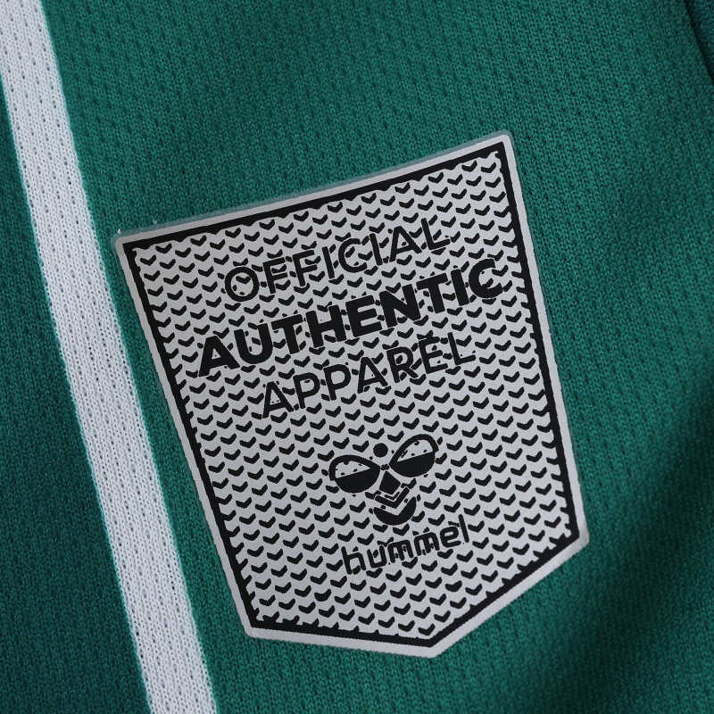 2526 Werder Bremen Home Fan version