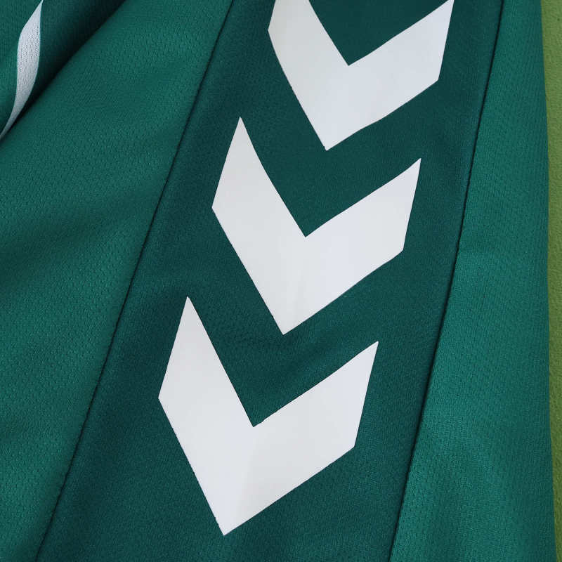 2526 Werder Bremen Home Fan version