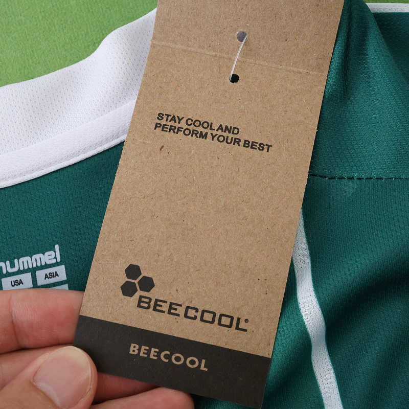 2526 Werder Bremen Home Fan version