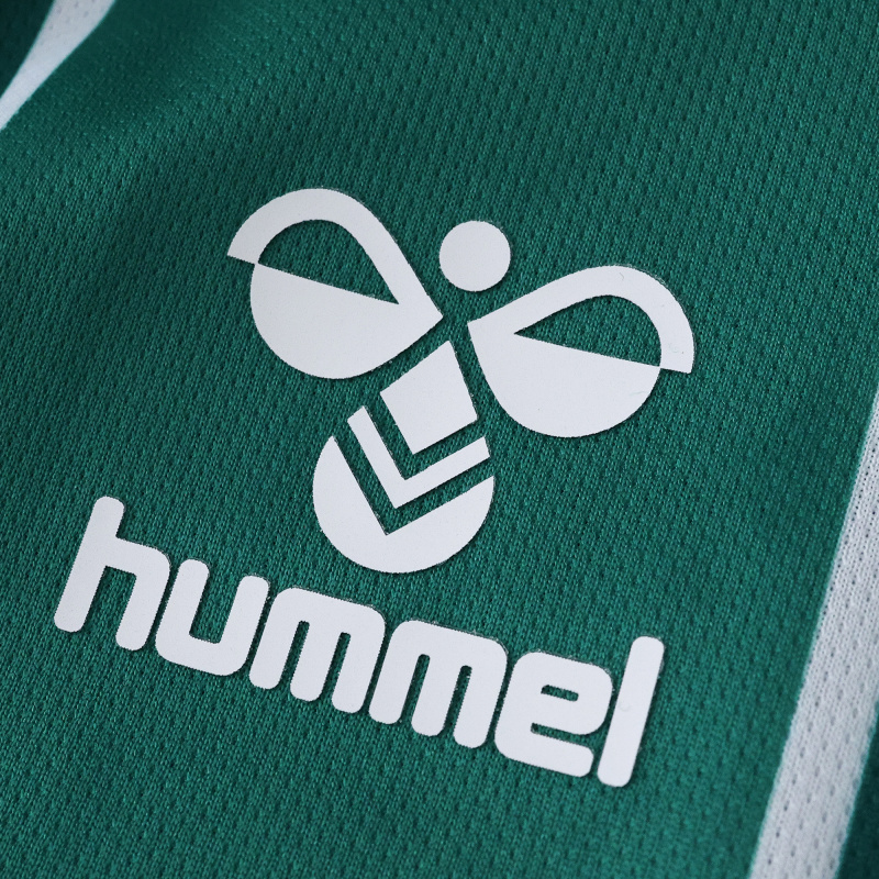 2526 Werder Bremen Home Fan version