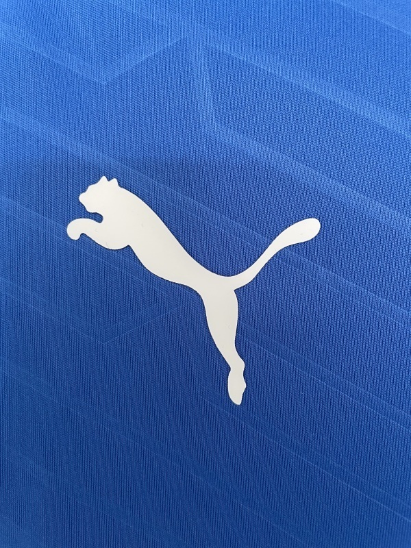 2012 Italy Home retro Fan version