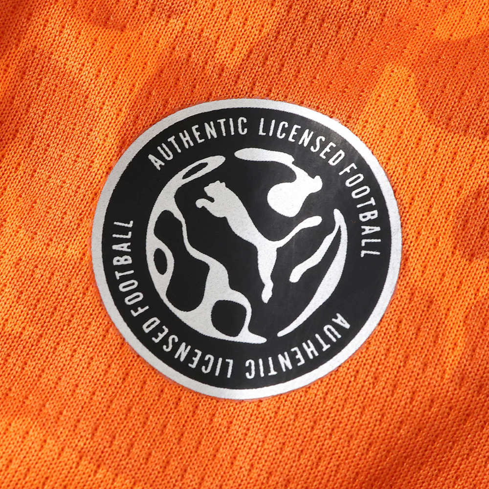 2026 Ivory Coast home Fan version