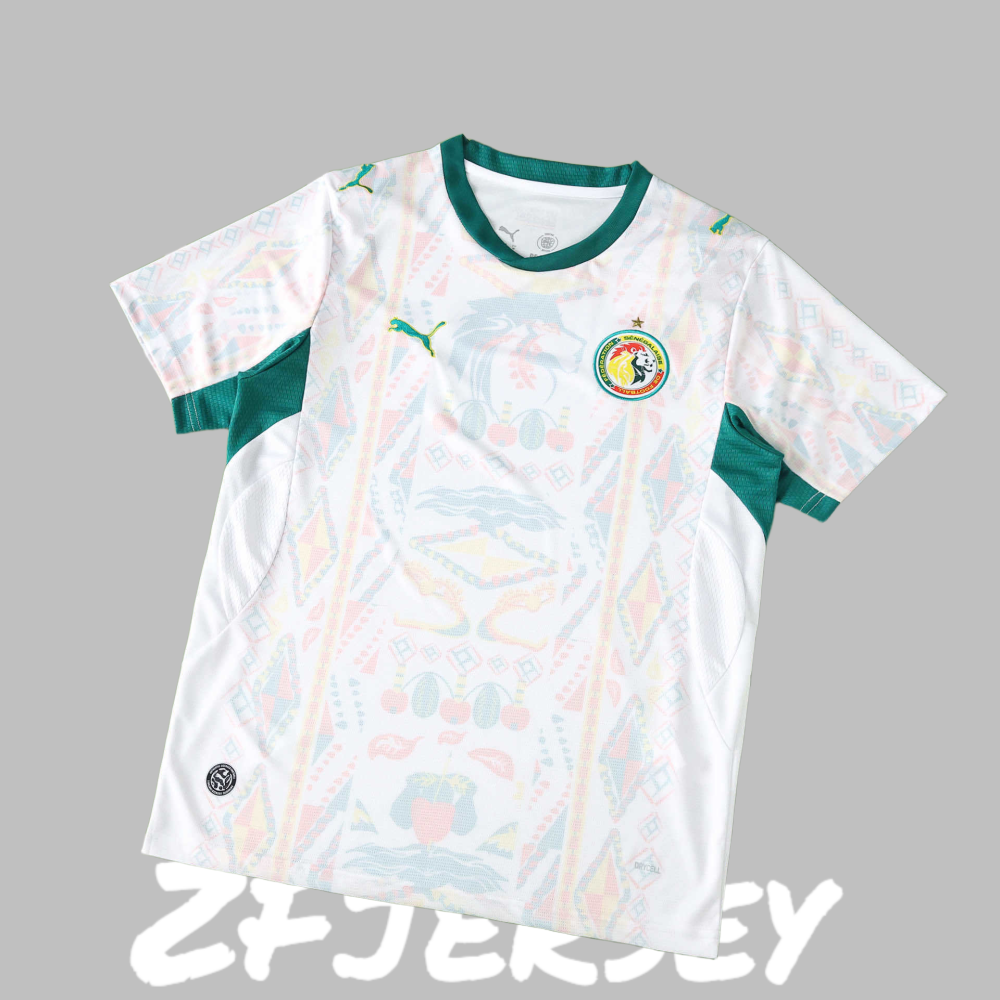 2026 Senegal Home Fan version