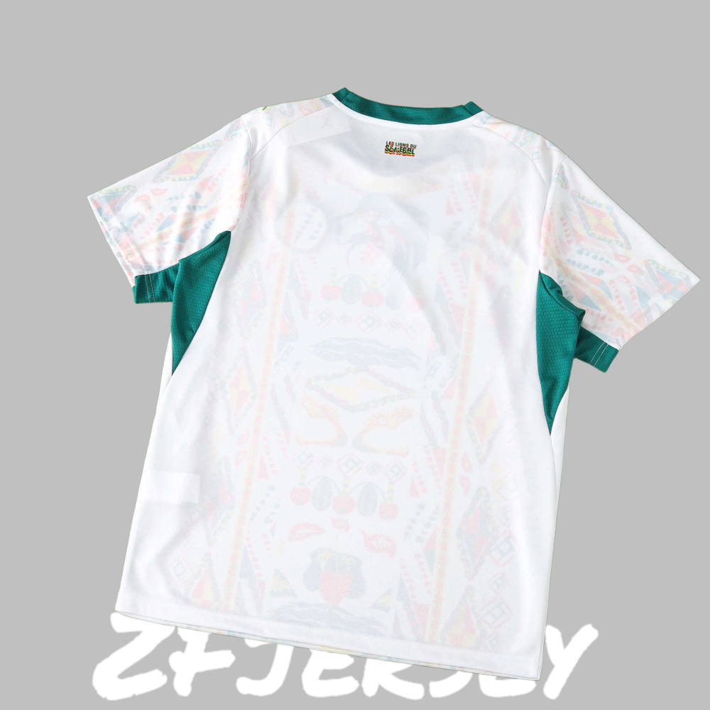 2026 Senegal Home Fan version
