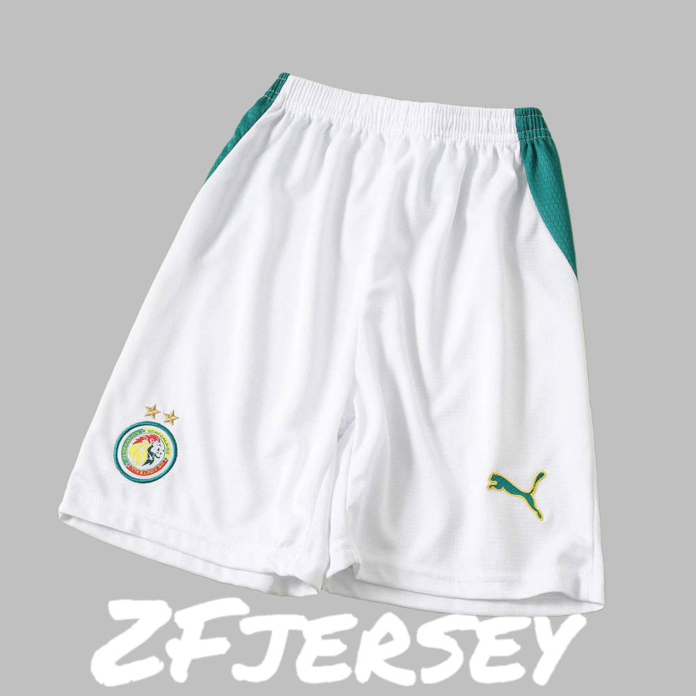 2026 Senegal Away Kids Kit
