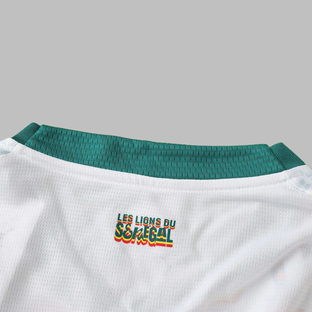 2026 Senegal Home Fan version
