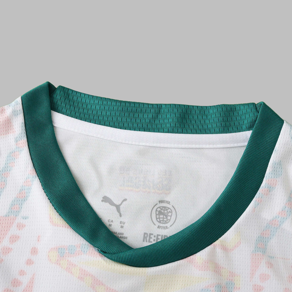 2026 Senegal Home Fan version