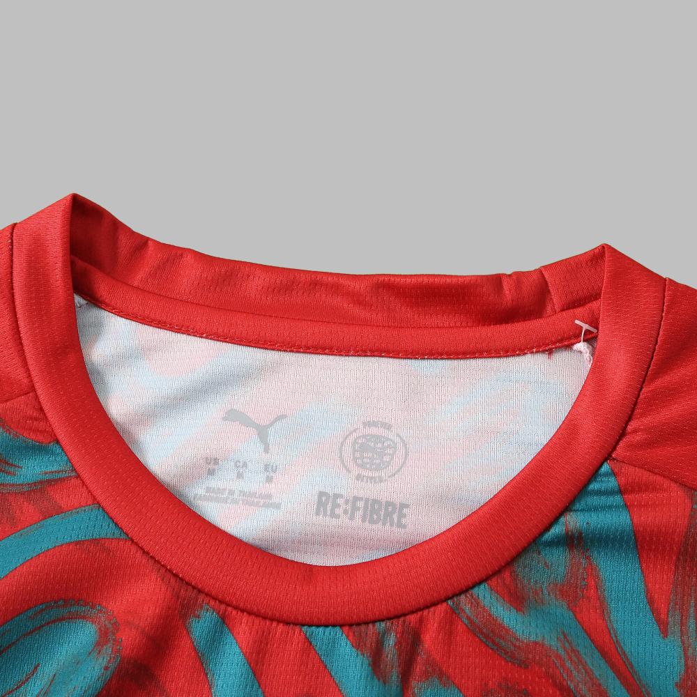 2026 Portugal Training shirt Fan version