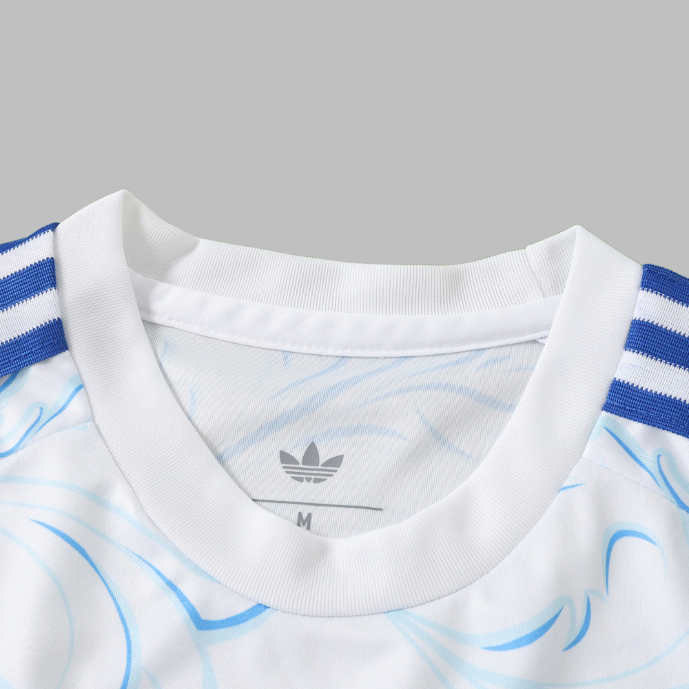 2026 Argentina Training Fan version