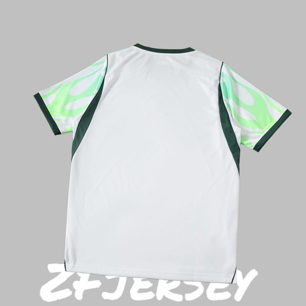 2026 Nigeria Away Fan version