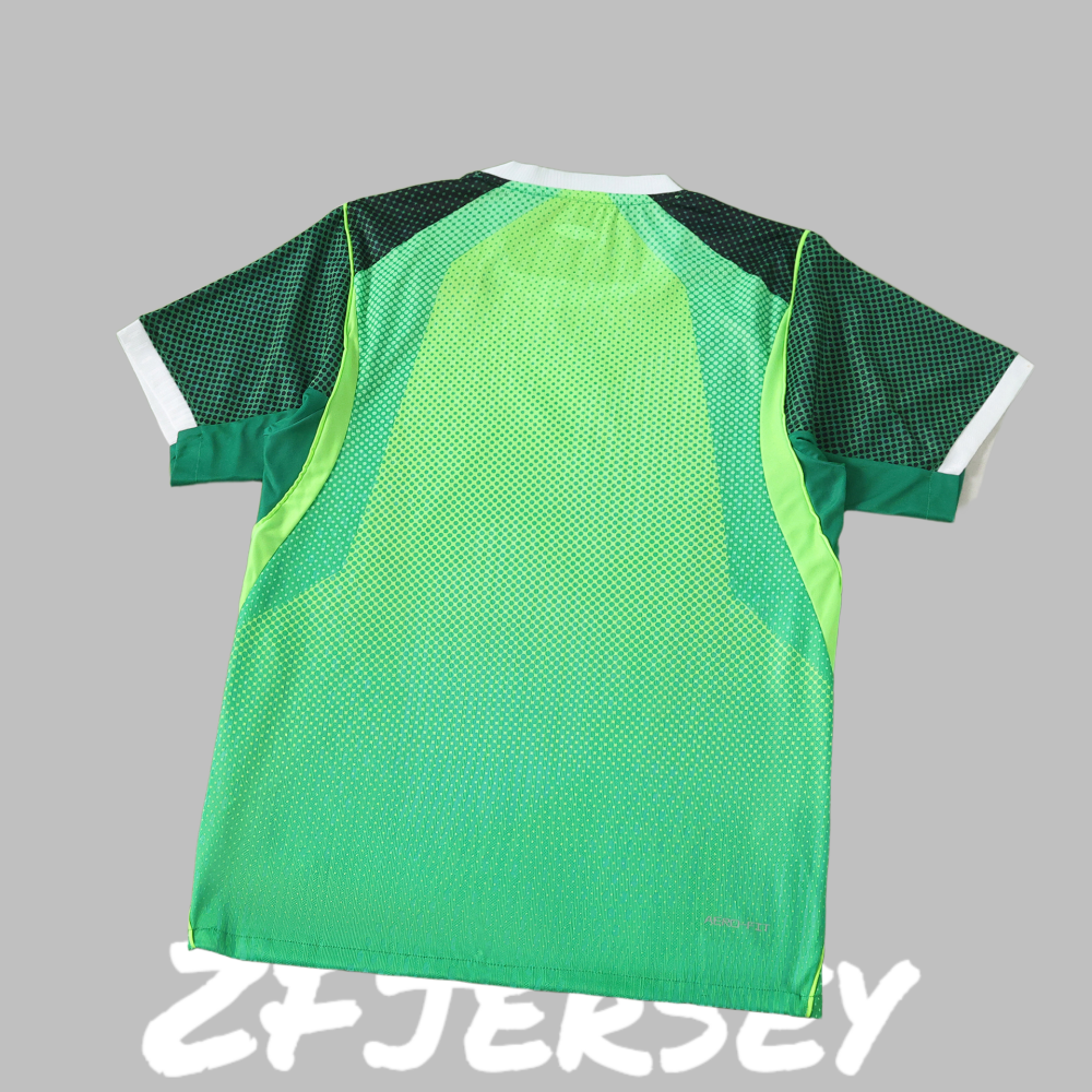 2026 Nigeria Home Player version