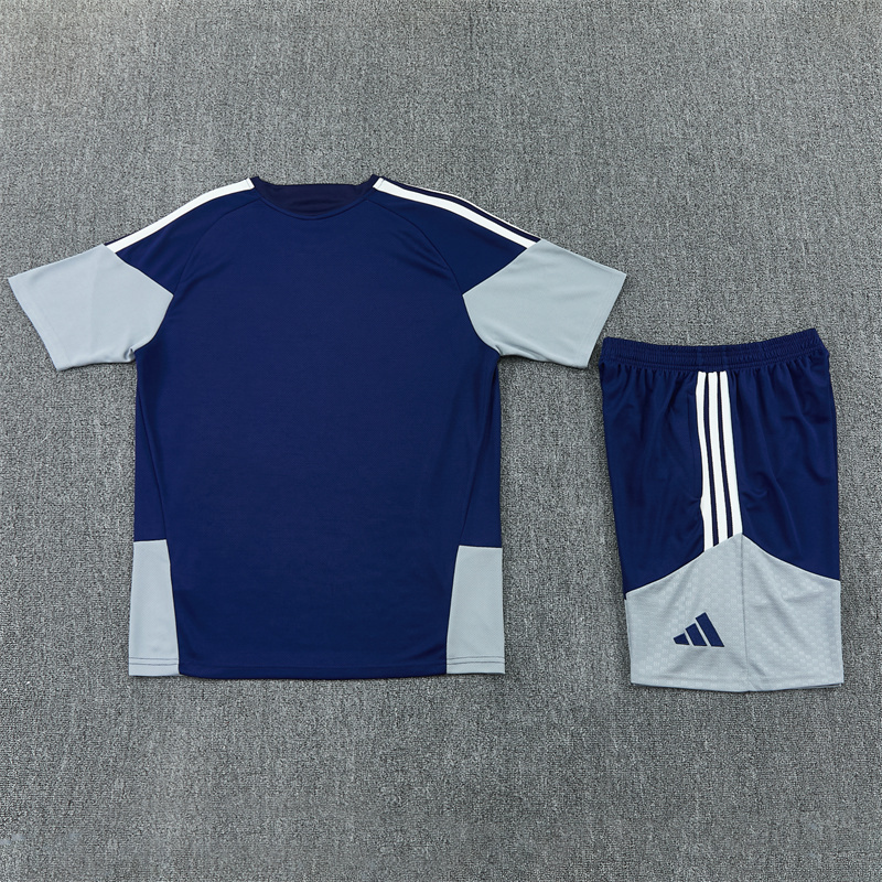 2026 Real Madrid (royal blue) Training clothes suit Short sleeve Fan version