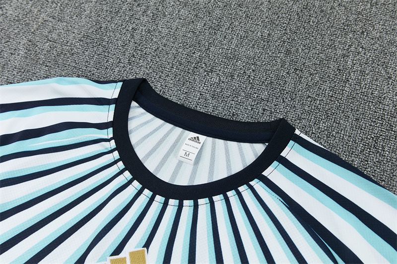 2026 Argentina (blue and white) Training clothes suit Short sleeve Fan version