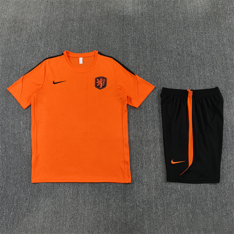 2026 Netherlands (orange) Training clothes suit Short sleeve Fan version