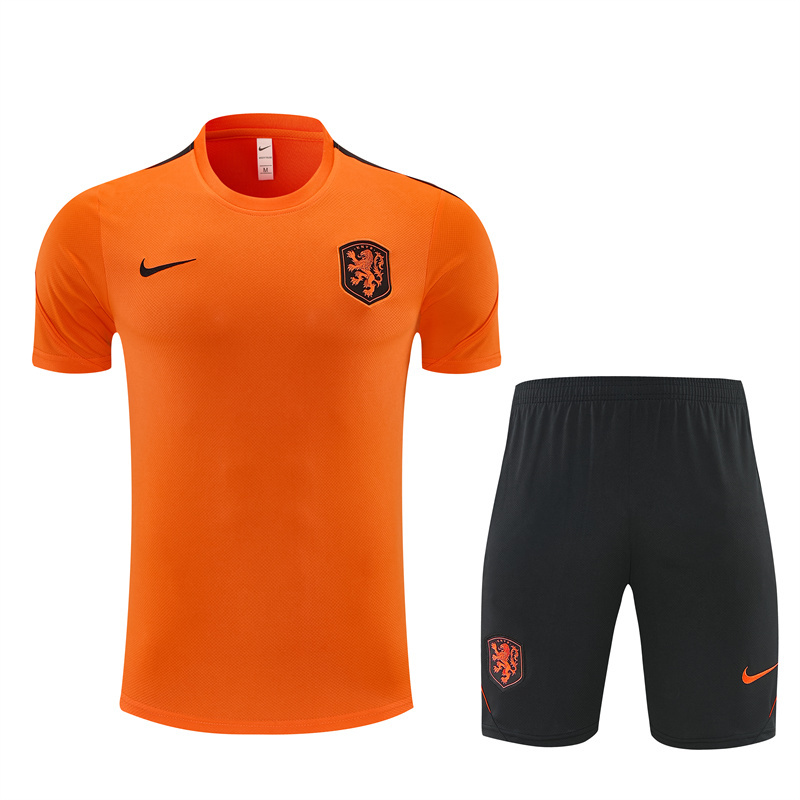 2026 Netherlands (orange) Training clothes suit Short sleeve Fan version