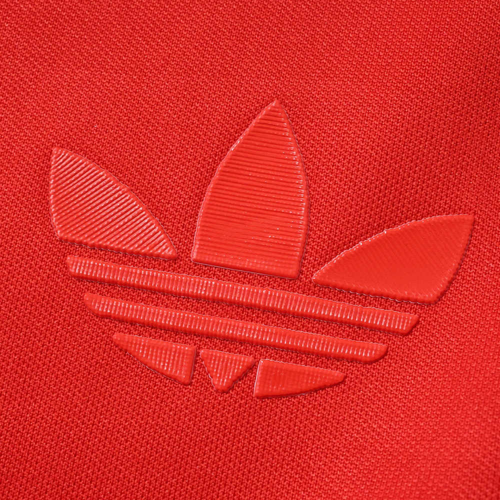 Wales 150th anniversary Fan version