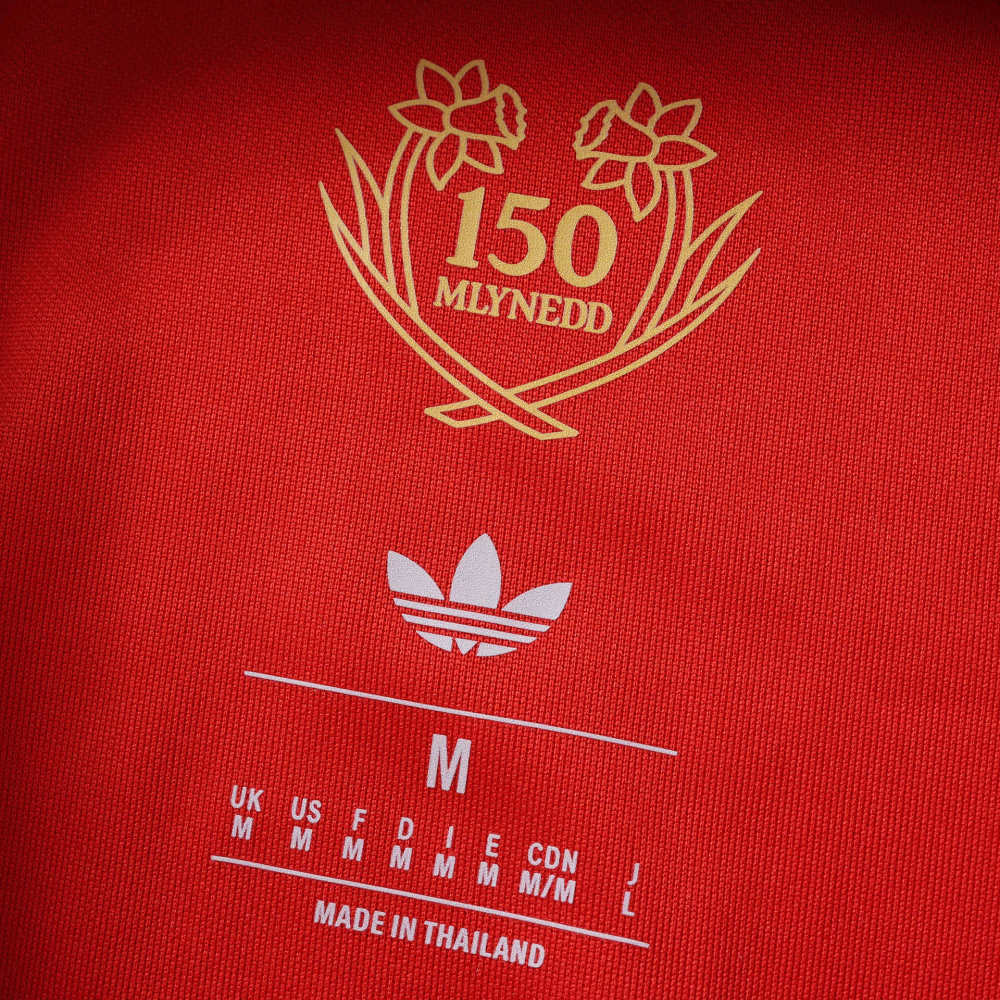 Wales 150th anniversary Fan version