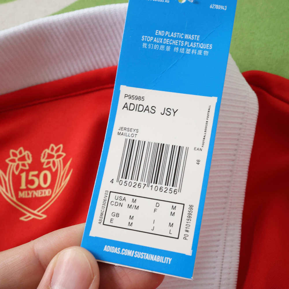 Wales 150th anniversary Fan version