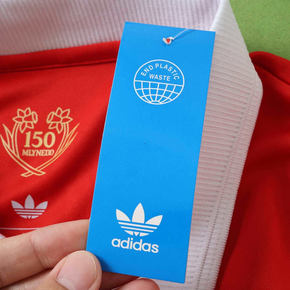 Wales 150th anniversary Fan version