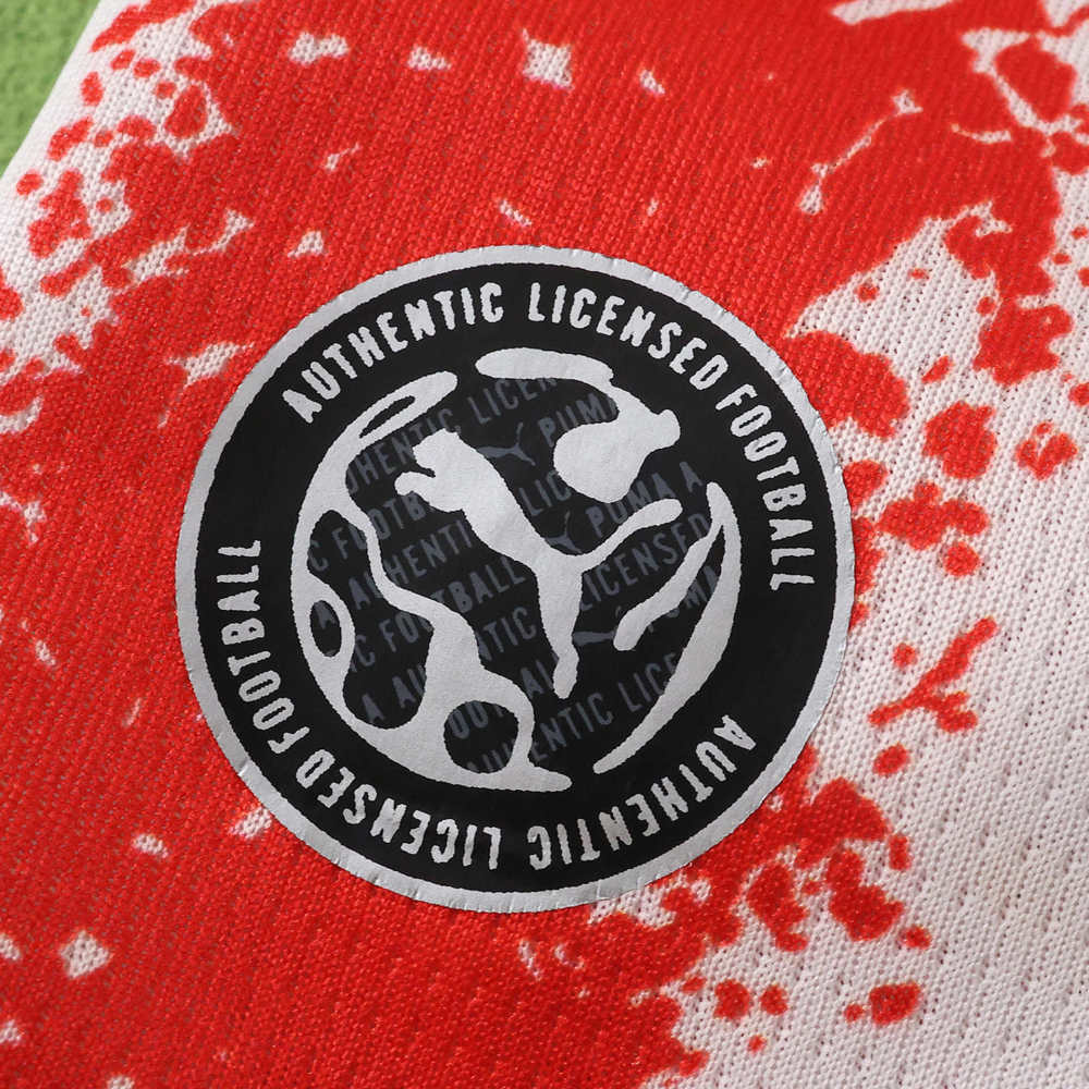 2026 Paraguay Home Fan version