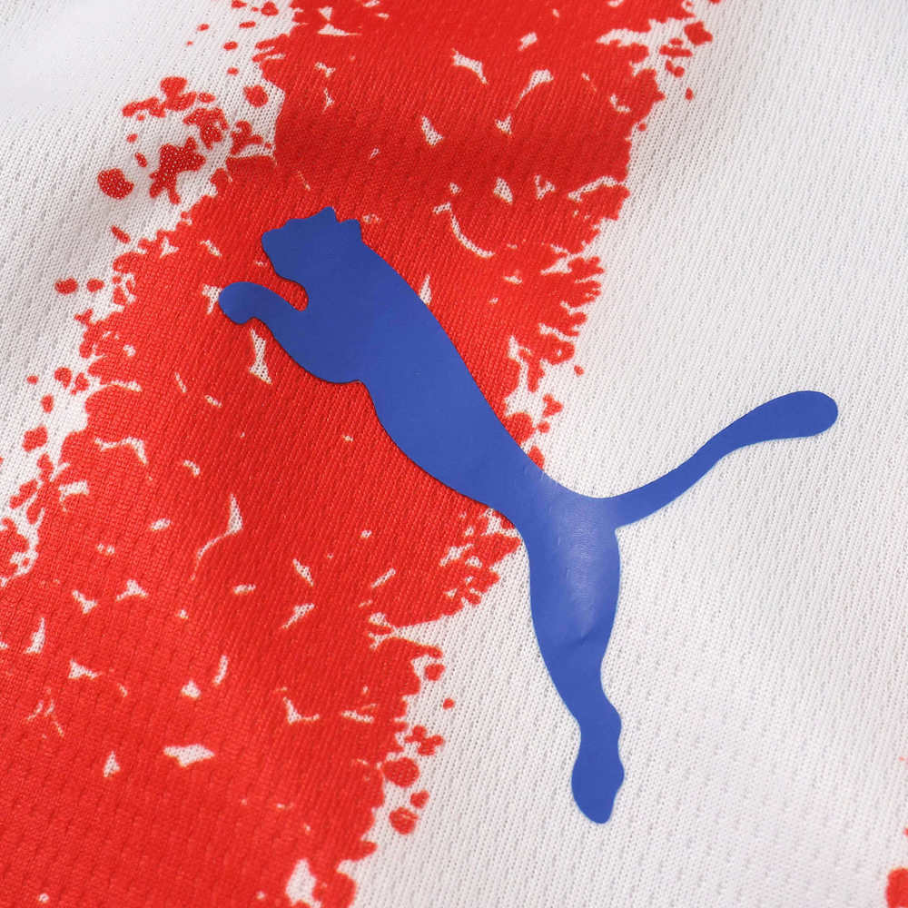 2026 Paraguay Home Fan version