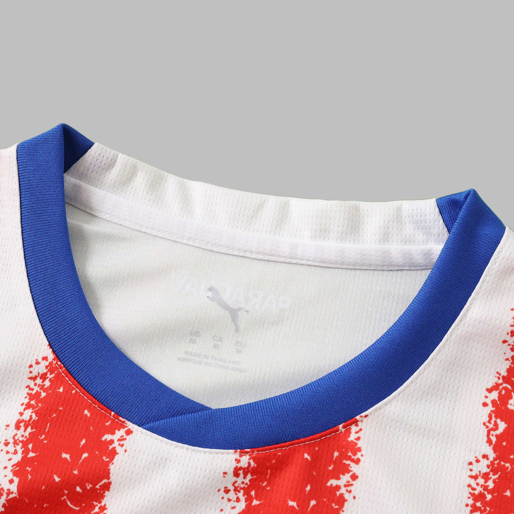 2026 Paraguay Home Fan version