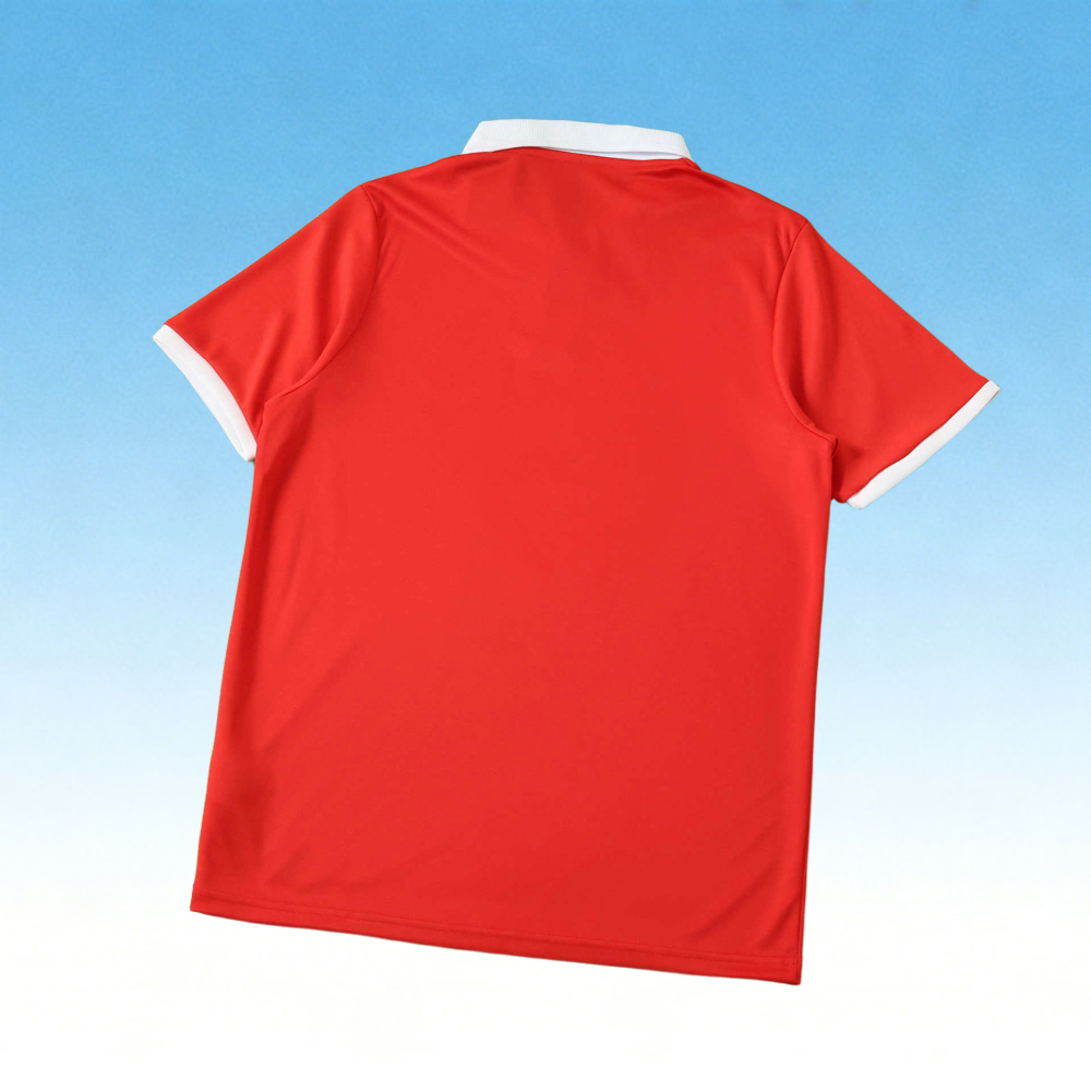Wales 150th anniversary Fan version