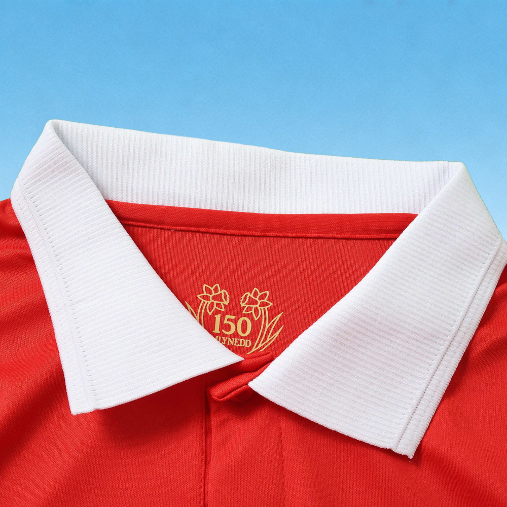 Wales 150th anniversary Fan version