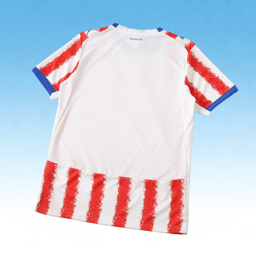 2026 Paraguay Home Fan version