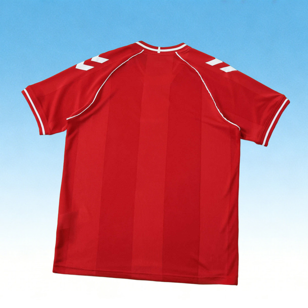 2026 Denmark Home Fan version