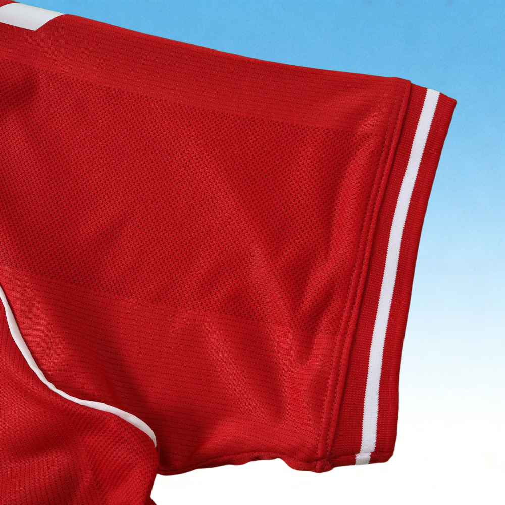 2026 Denmark Home Fan version