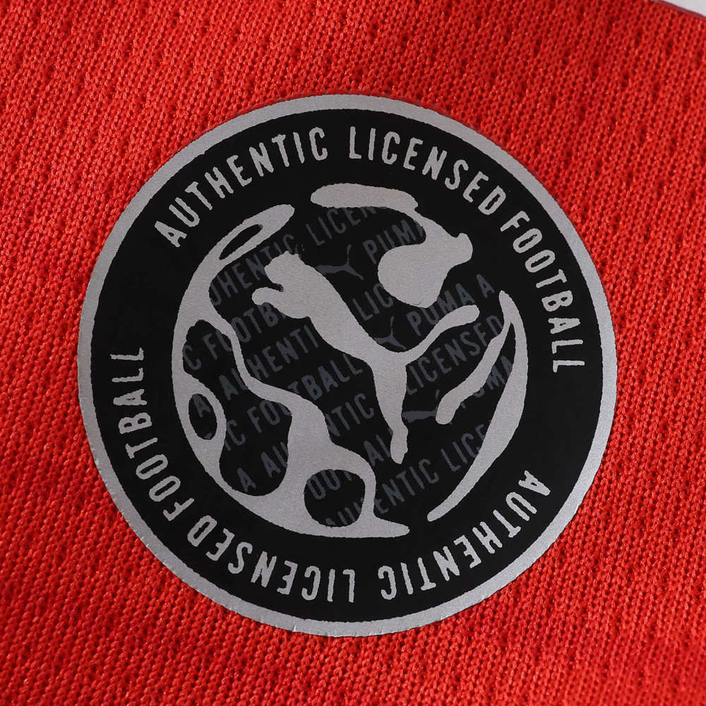 2627 Rennais Home Fan version