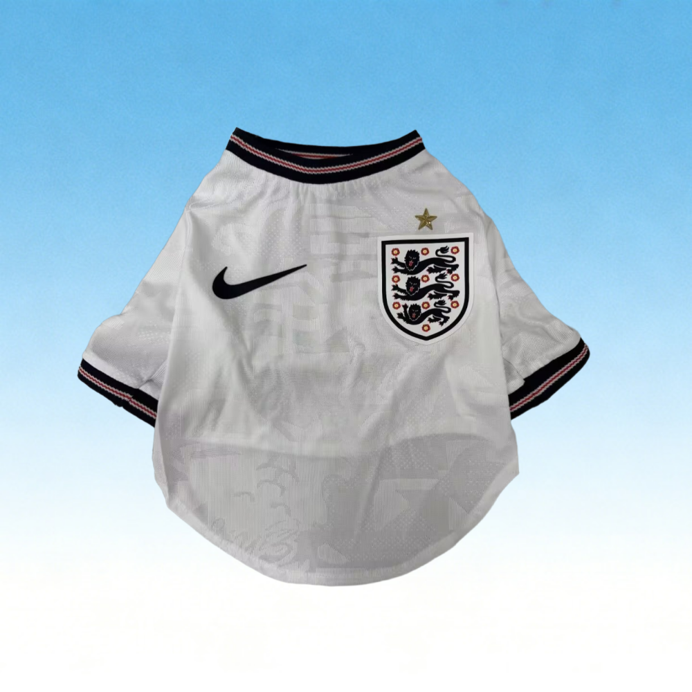 2026 England (pet dog) Home Player Version
