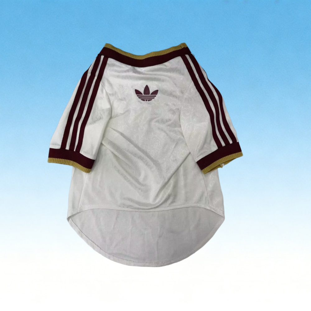 2026 Spain (pet dog) Away Player Version