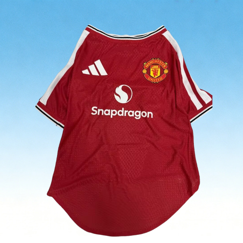2627 Manchester United (pet dog) Home Player Version