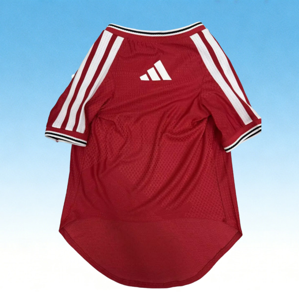 2627 Manchester United (pet dog) Home Player Version