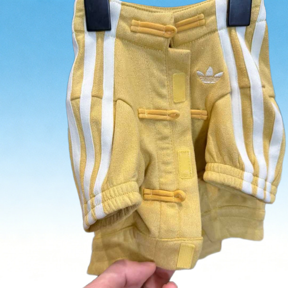 AD originals (pet dog) yellow