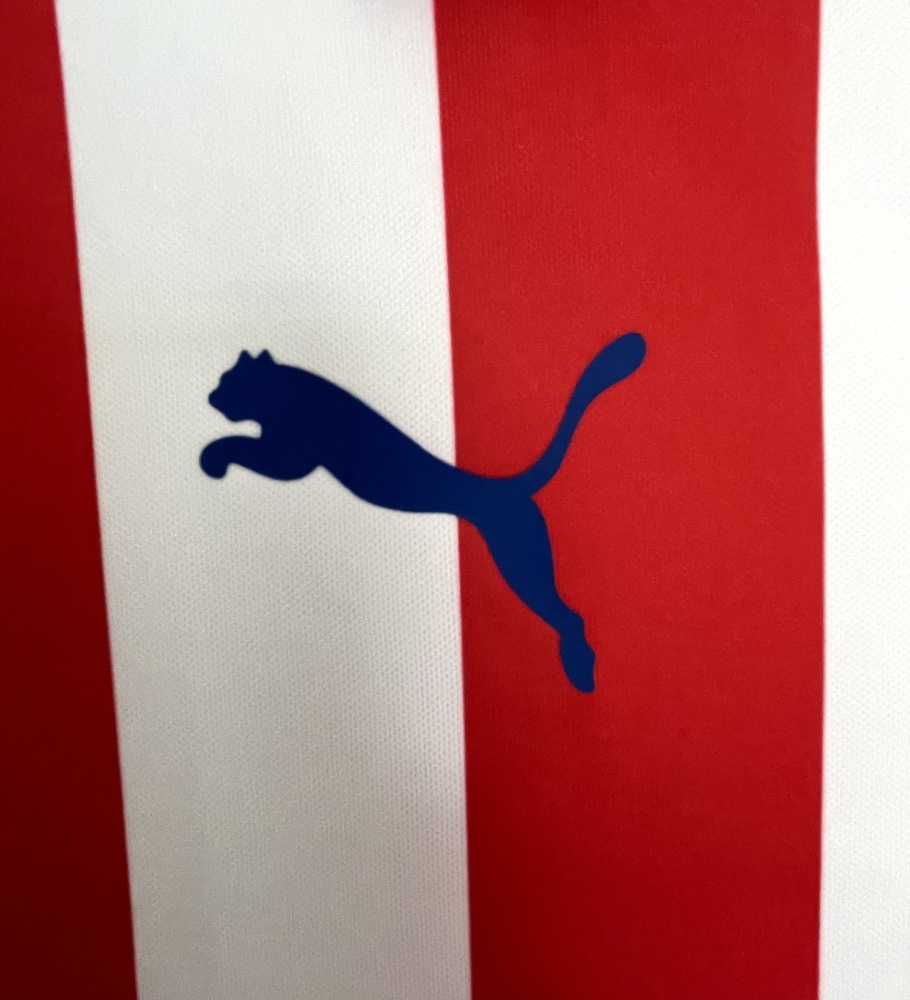 1617 Chivas Home 100TH retro Fan version