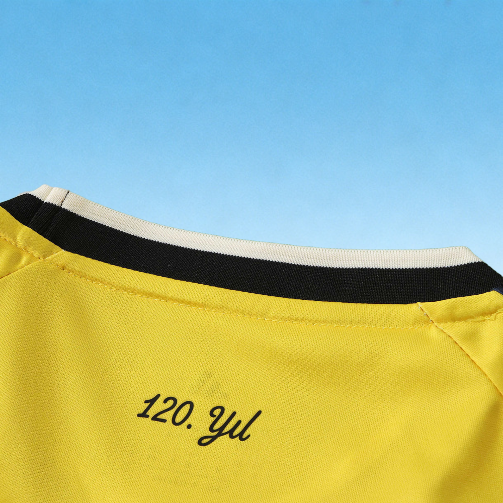 2627 Fenerbahçe Home Fan version