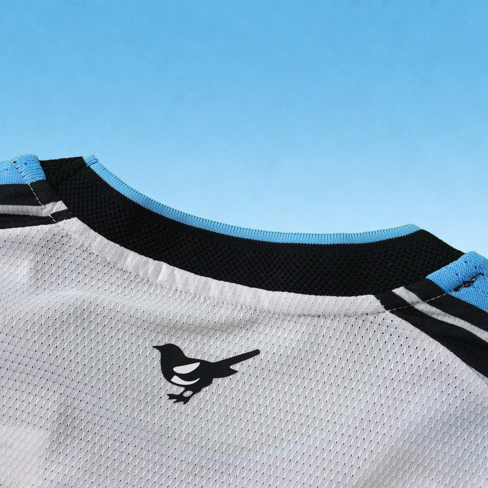 2627 Newcastle United home Long sleeves Player version