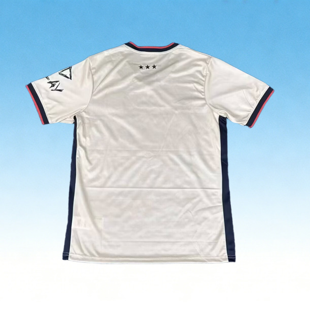 2627 Ipswich Away Fan version