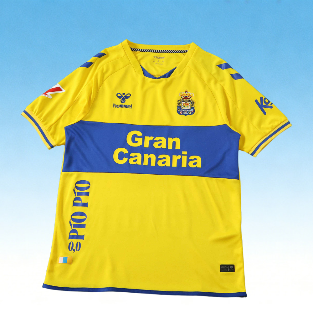 2627 Las Palmas Home Fan version