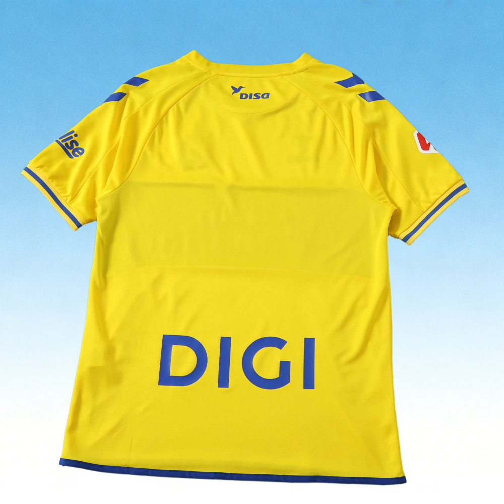 2627 Las Palmas Home Fan version
