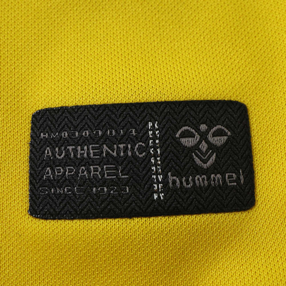 2627 Las Palmas Home Fan version
